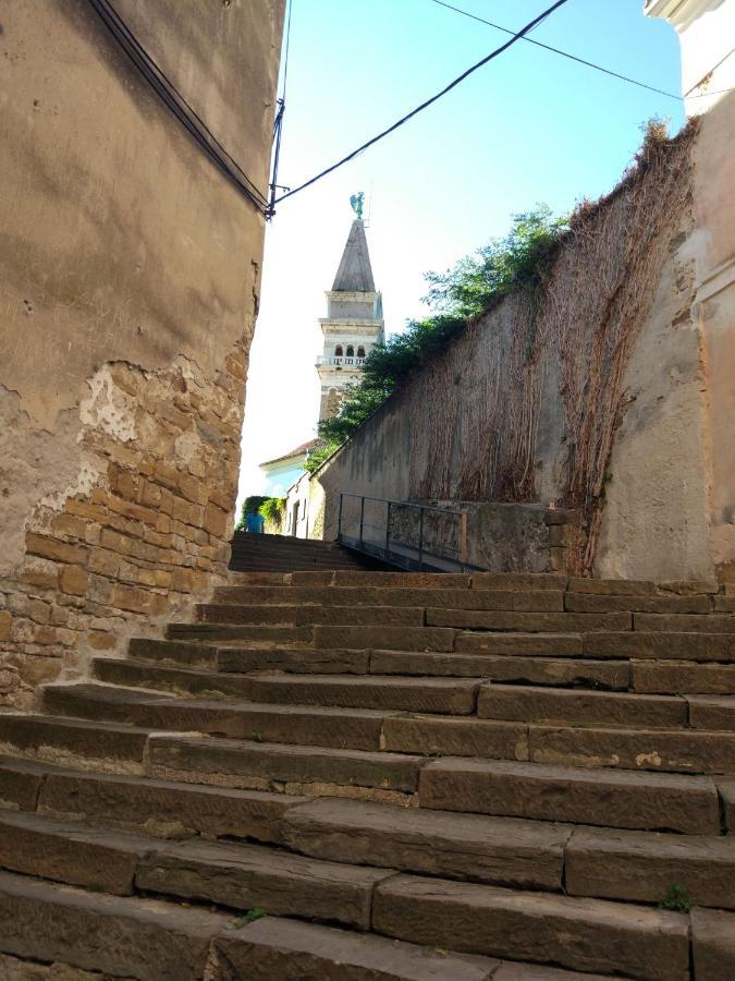 E & E Piran